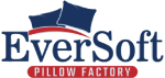 EverSoft Logo
